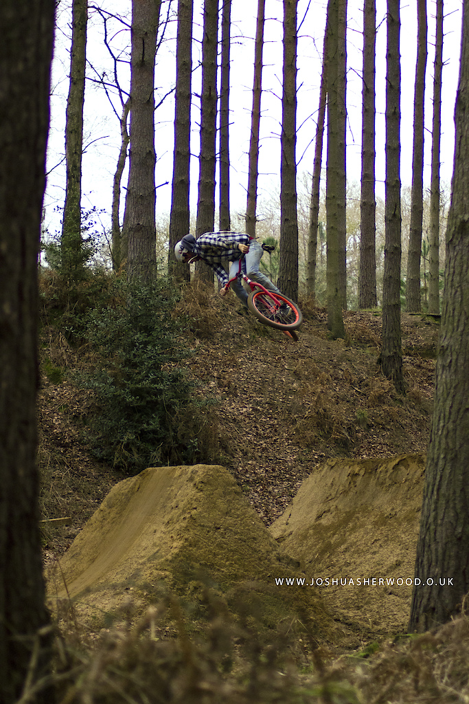 Woburn Trails, England
