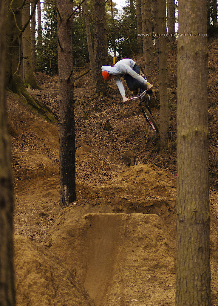 Woburn Trails, England