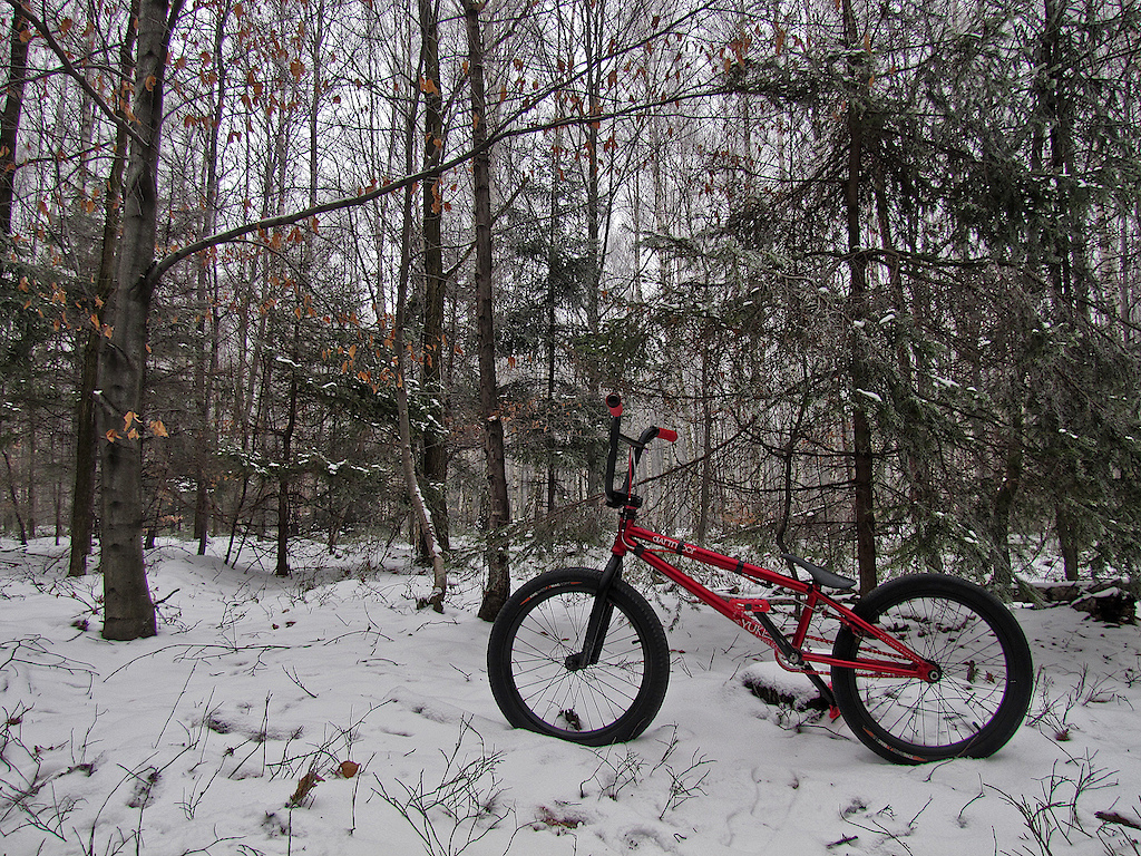 Red Yuki 2011 new bikecheck photos with Dartmoor Team rider Maciek Kiwak. New bike weight with brake and gyro included is still only 8,3 kg. Rid vid: http://vimeo.com/15716285.