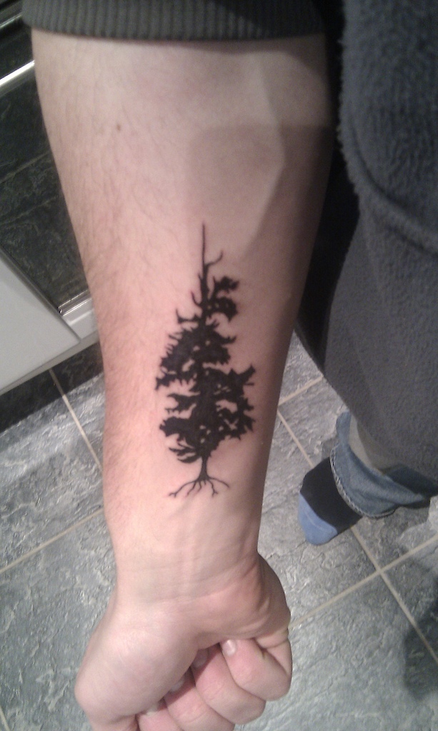tatt