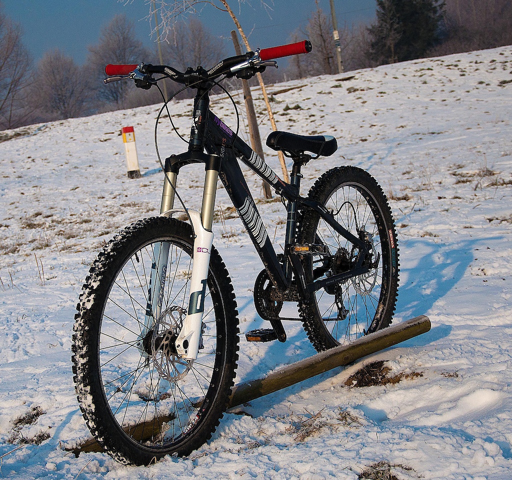 Bike for 2011: Sign DS, Avid Elixr R, Duro Fr20