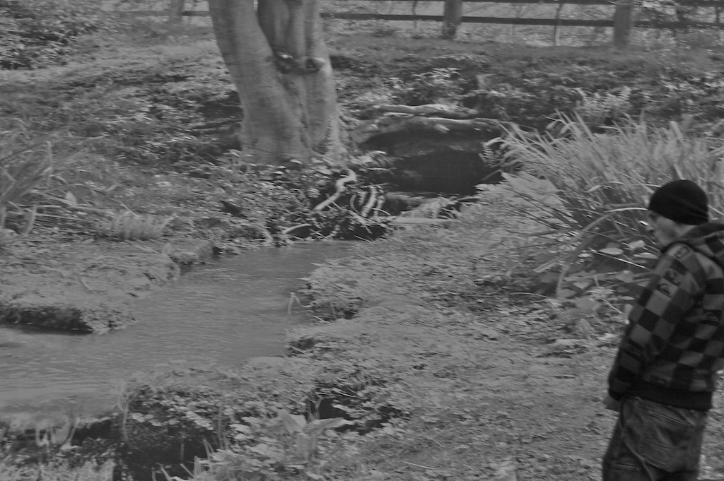 Pissin' on ya dreams