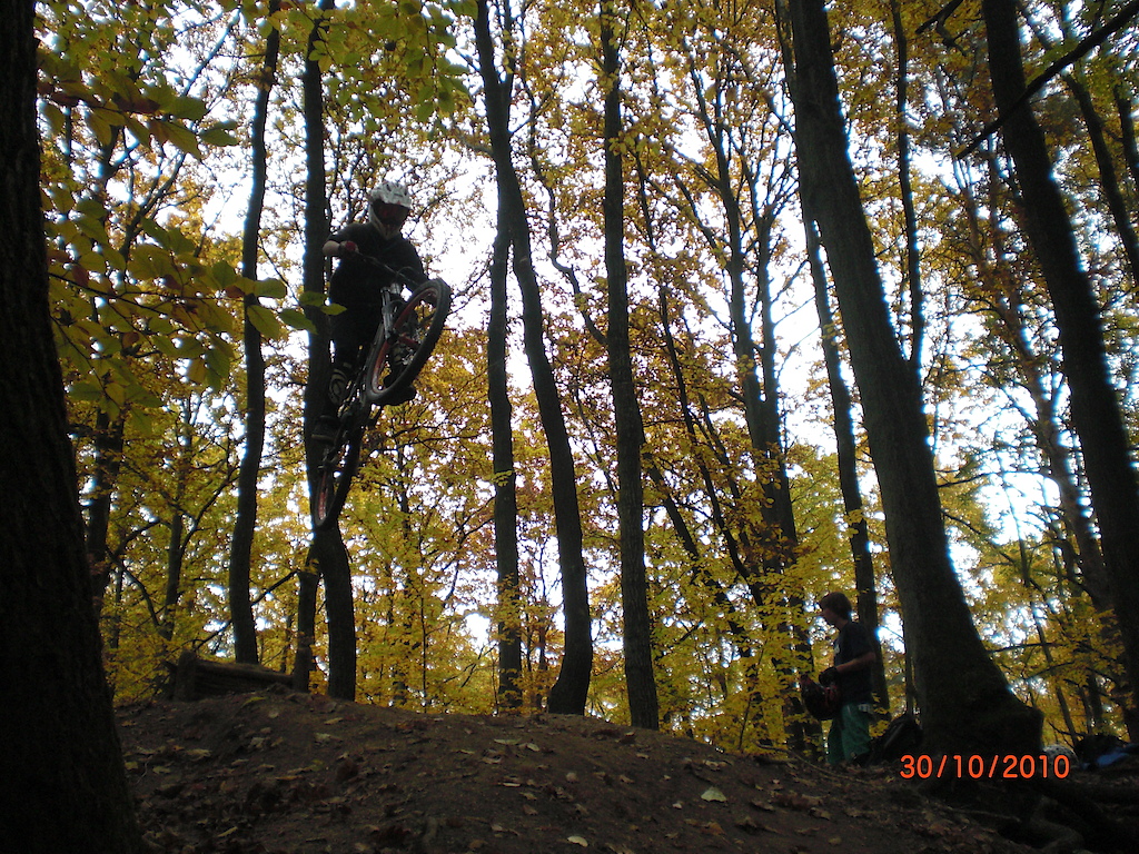 freeriding