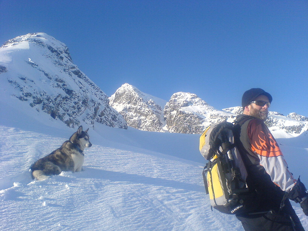 World's best most awesome ski touring dog.