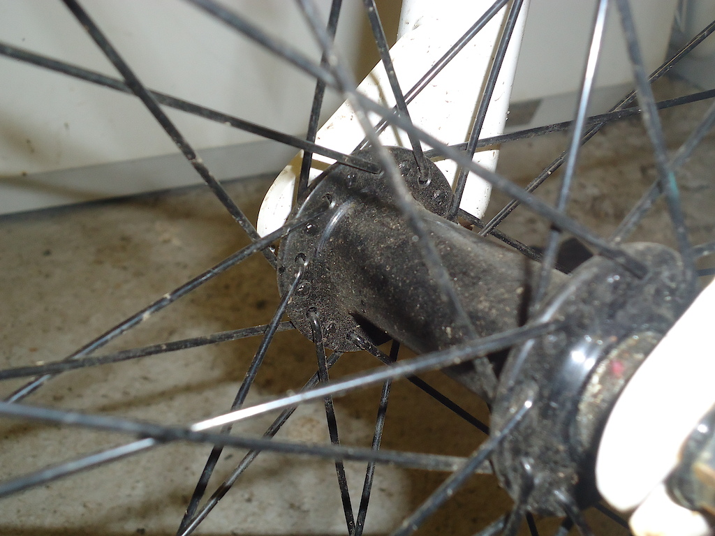 spokes