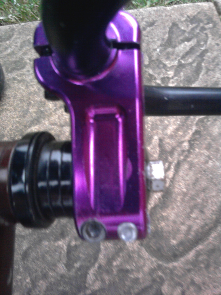 proper stem
