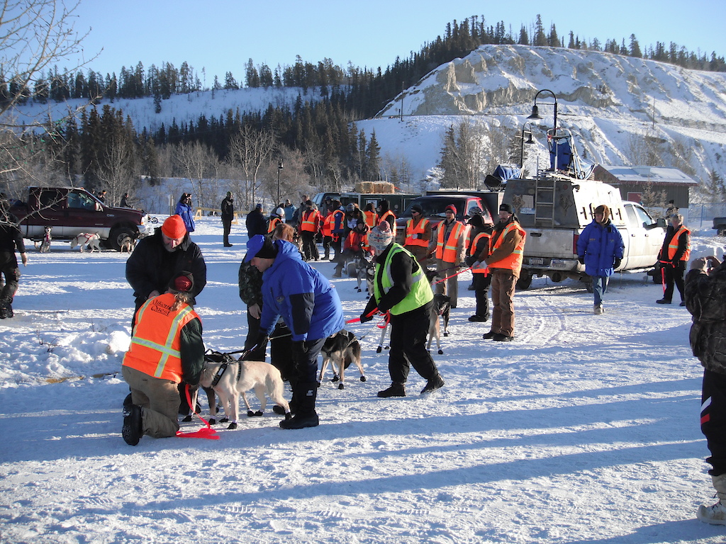 behind the start lines of the yukon quest