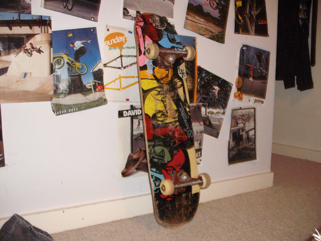 lol skatebird