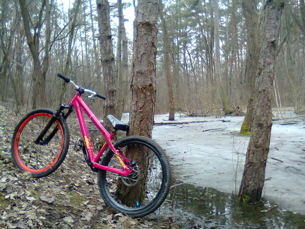 commencal maxmax