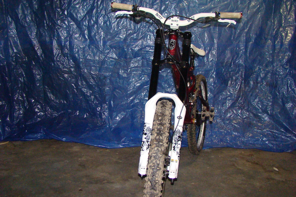 my bikes with the new forks on