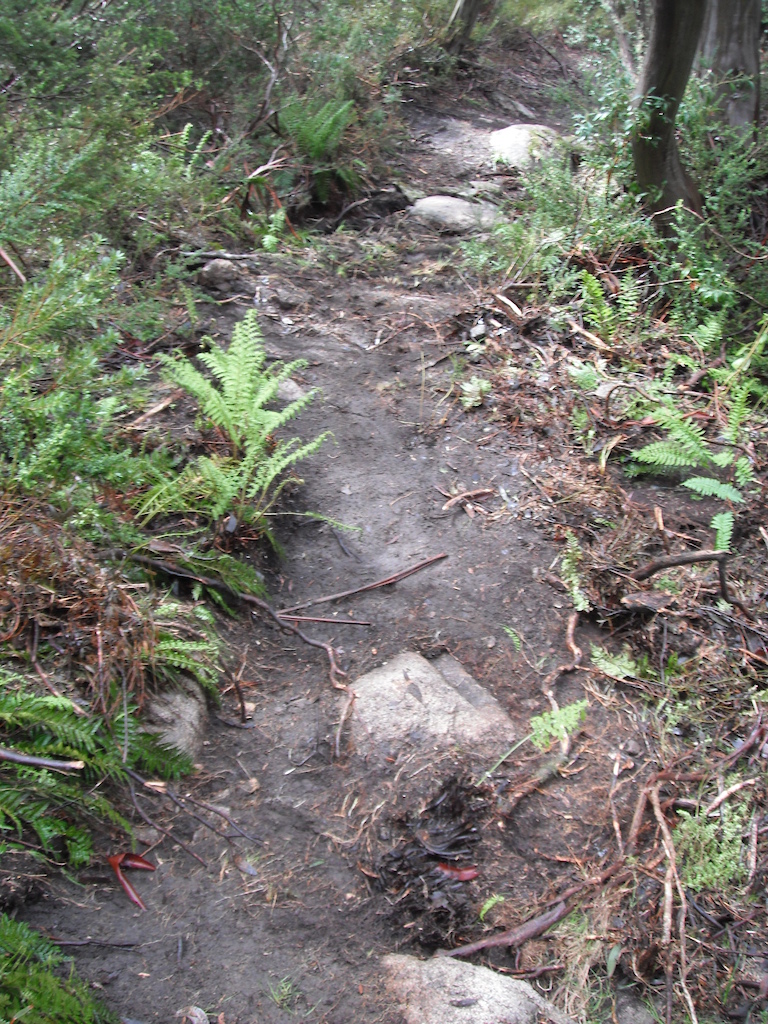 Mt Buller's Moutain Bike Trail Network, Victoria, Australia