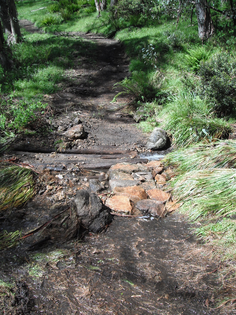 Mt Buller's Moutain Bike Trail Network, Victoria, Australia