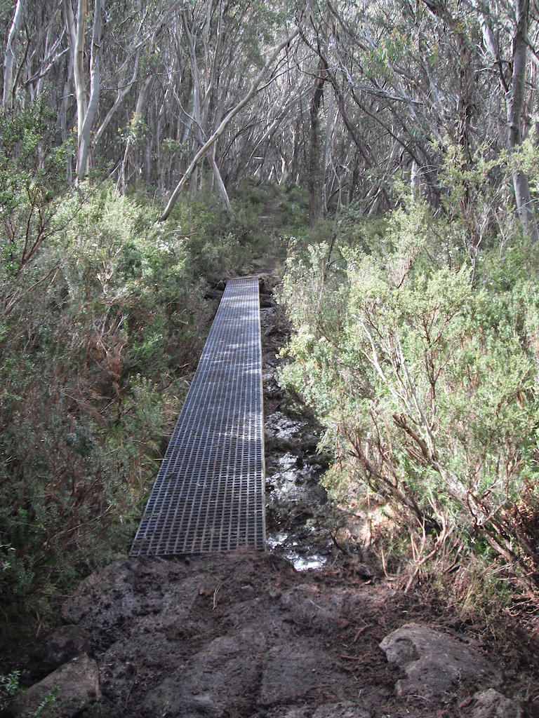 Mt Buller's Moutain Bike Trail Network, Victoria, Australia