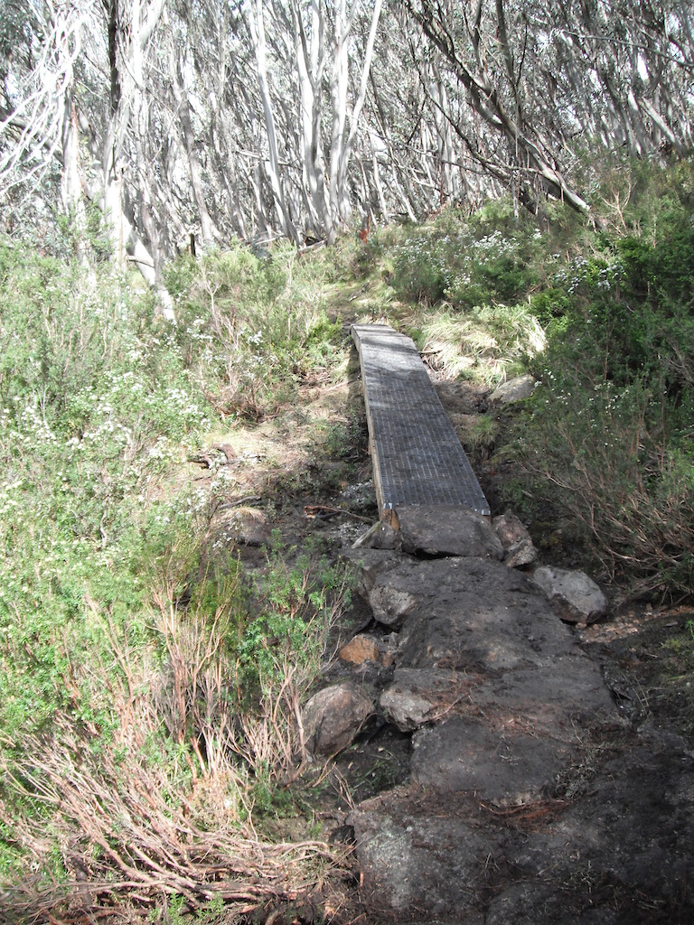Mt Buller's Moutain Bike Trail Network, Victoria, Australia