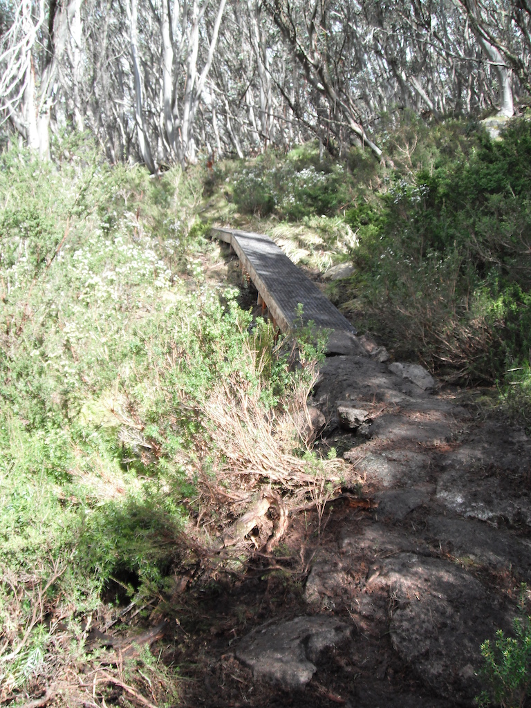 Mt Buller's Moutain Bike Trail Network, Victoria, Australia