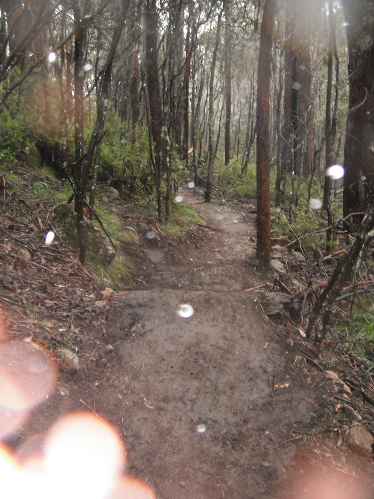 Mt Buller's Moutain Bike Trail Network, Victoria, Australia