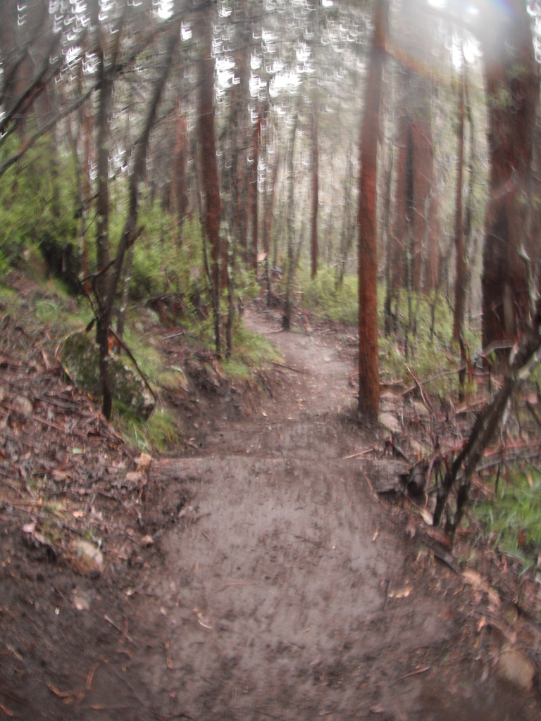 Mt Buller's Moutain Bike Trail Network, Victoria, Australia