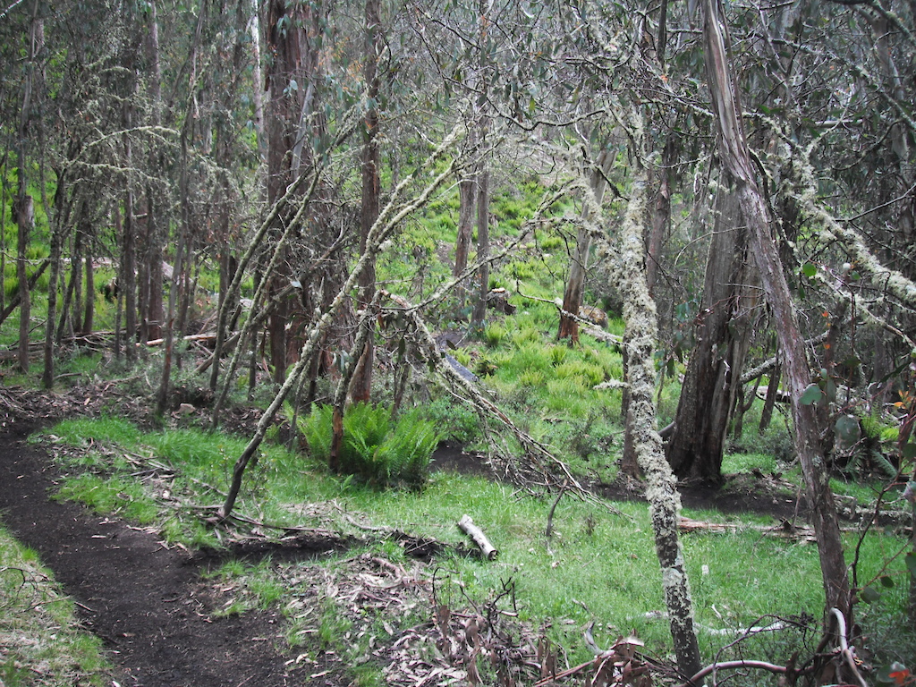 Mt Buller's Moutain Bike Trail Network, Victoria, Australia