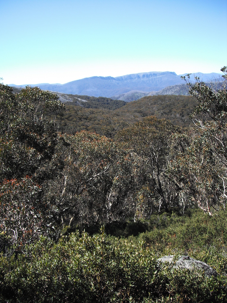 Mt Buller's Moutain Bike Trail Network, Victoria, Australia
