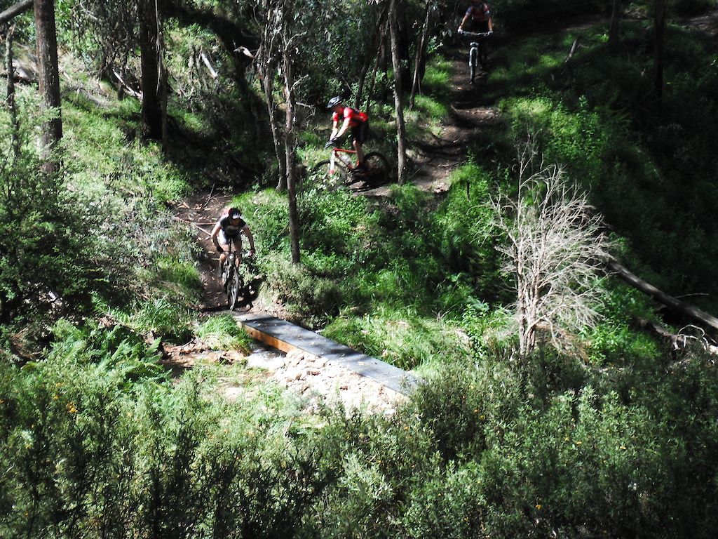 Opening day 1st tour with media, riders and trail crew. 
Mt Buller's Moutain Bike Trail Network, Victoria, Australia