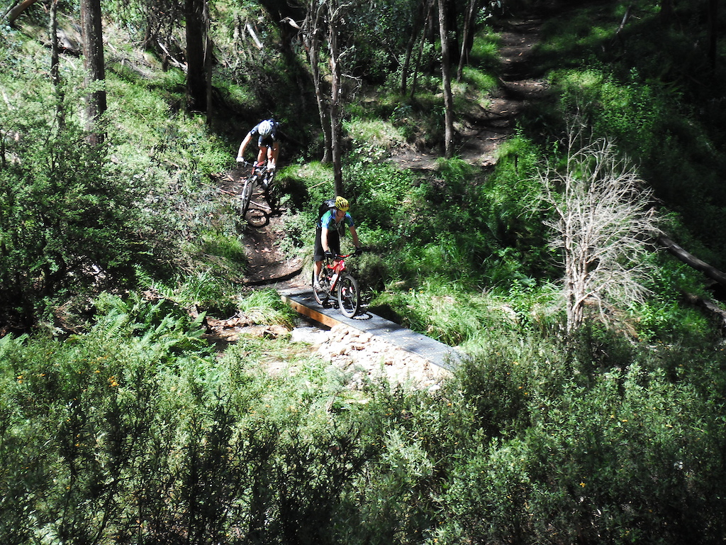 Opening day 1st tour with media, riders and trail crew. 
Mt Buller's Moutain Bike Trail Network, Victoria, Australia