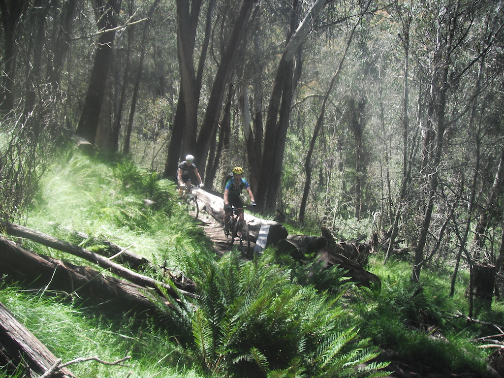 Opening day 1st tour with media, riders and trail crew. 
Mt Buller's Moutain Bike Trail Network, Victoria, Australia