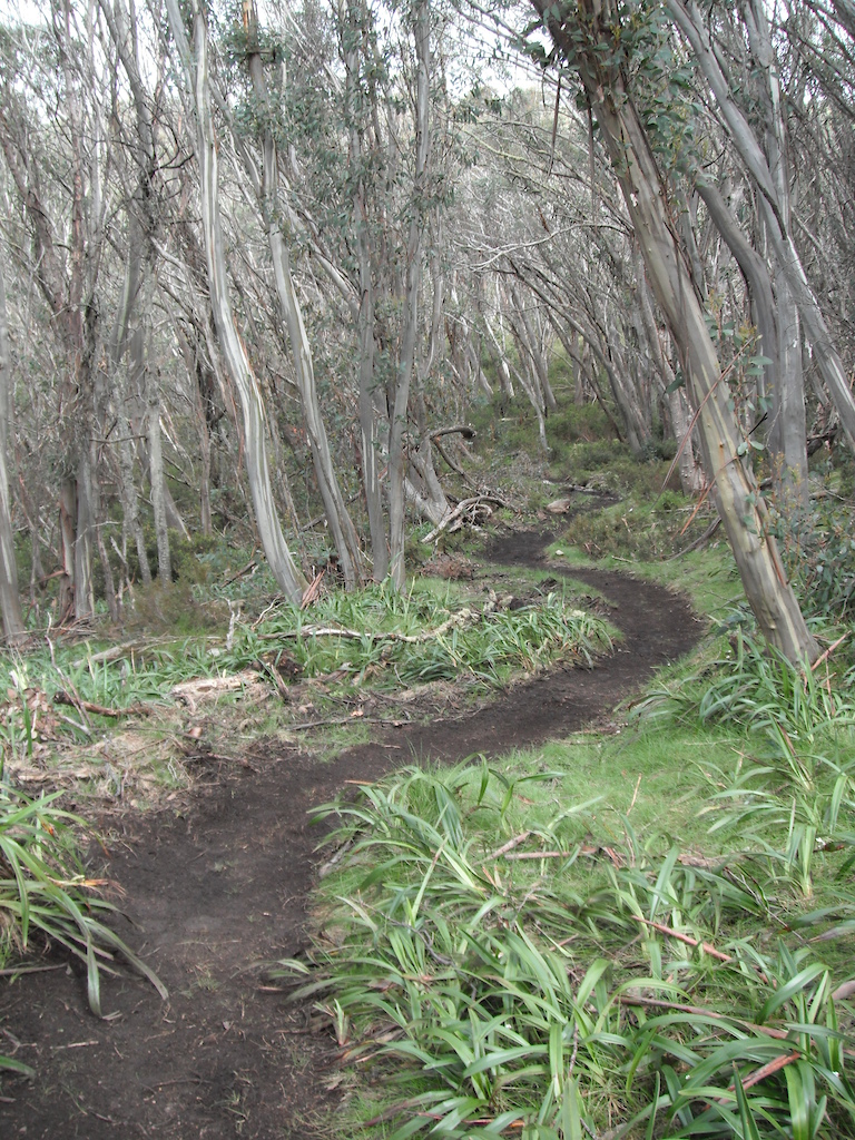 Mt Buller's Moutain Bike Trail Network, Victoria, Australia