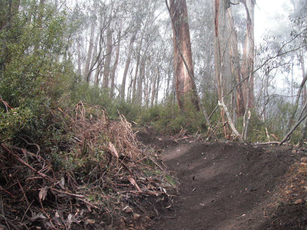 Mt Buller's Moutain Bike Trail Network, Victoria, Australia