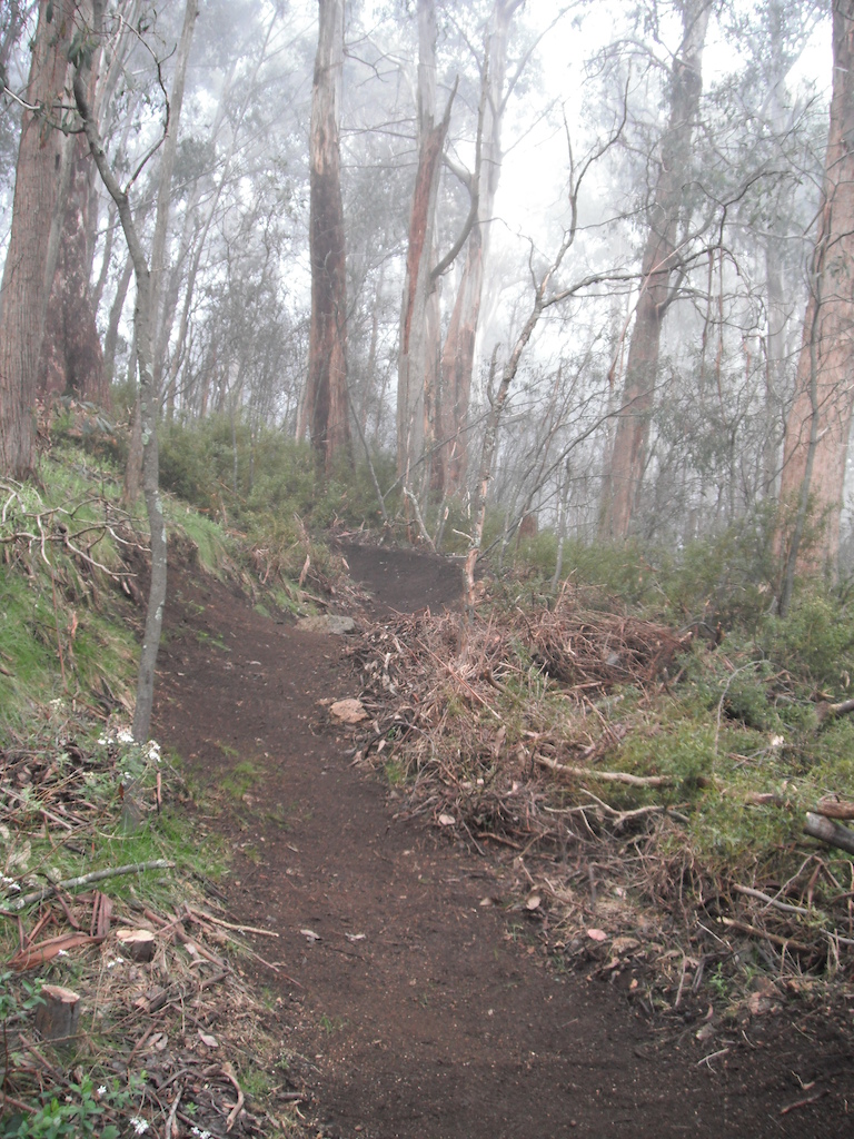Mt Buller's Moutain Bike Trail Network, Victoria, Australia