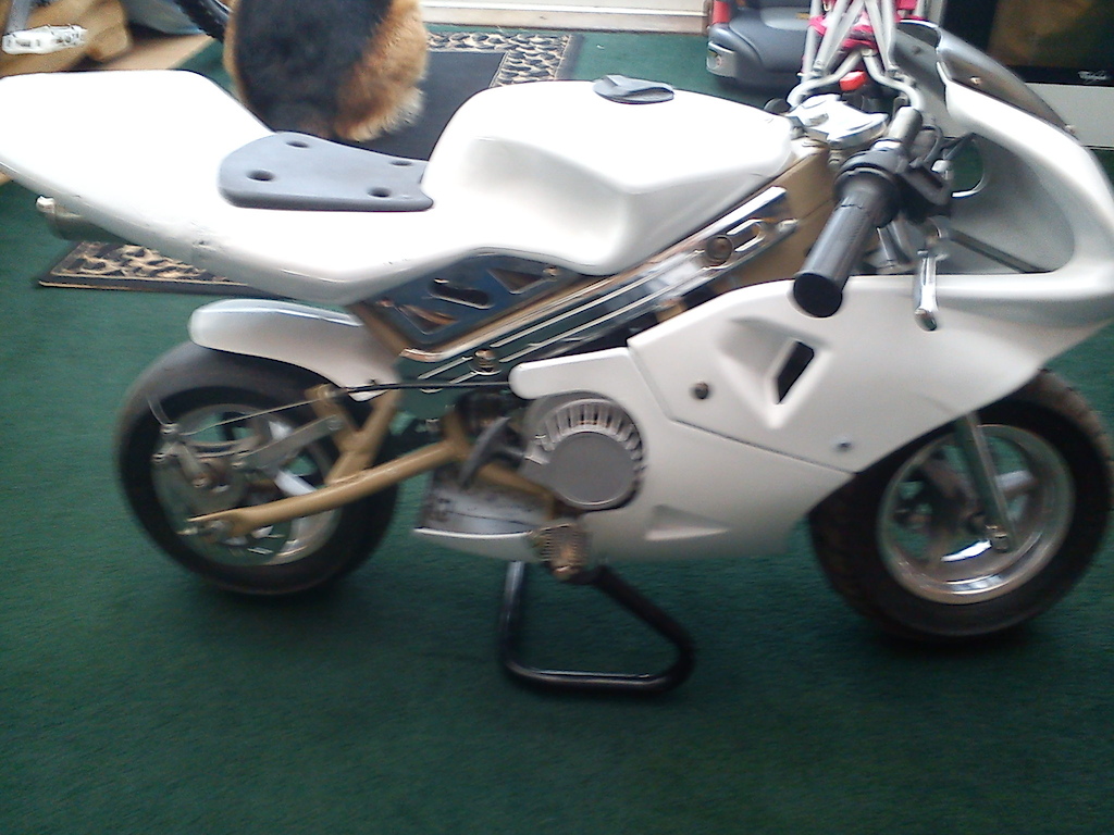 custom mini moto