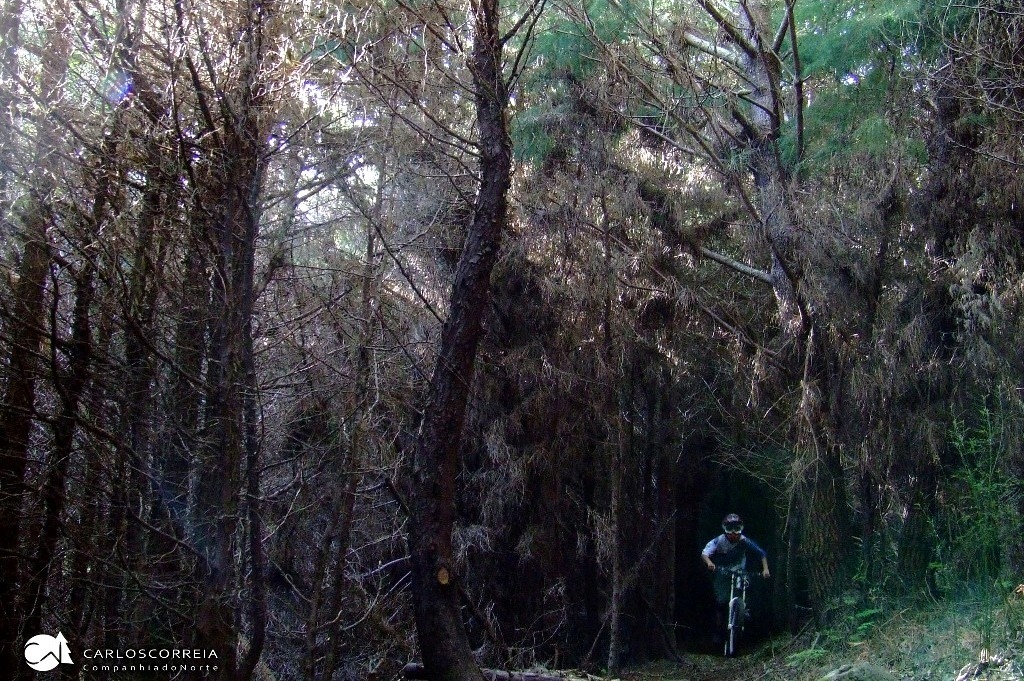 Dark segment of Malveira trail.
Photo by Carlos Correia.