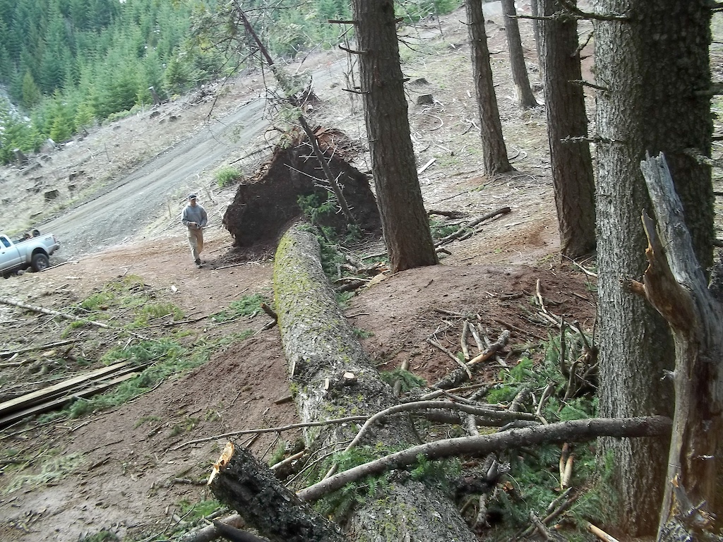 Tree down on the first jump