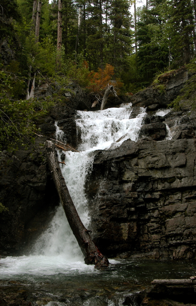 Climbed to the top of Holland Lake Falls and was presented with this other amazing falls.