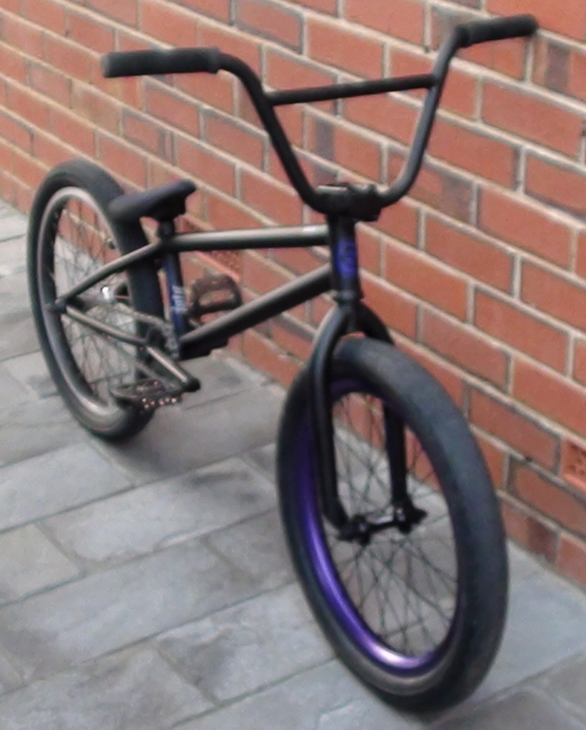 Eastern Reaper 2011