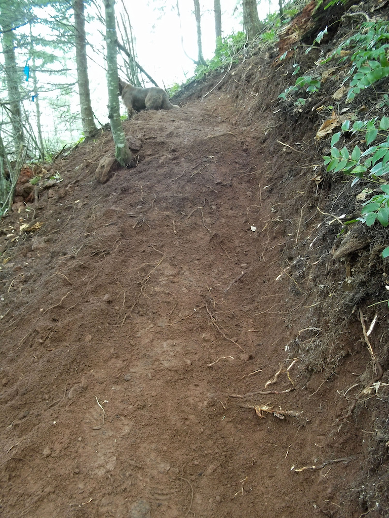 New sections of trail!