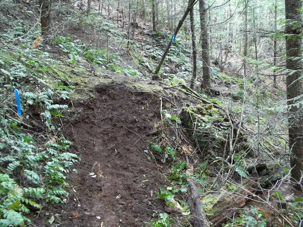 New sections of trail!