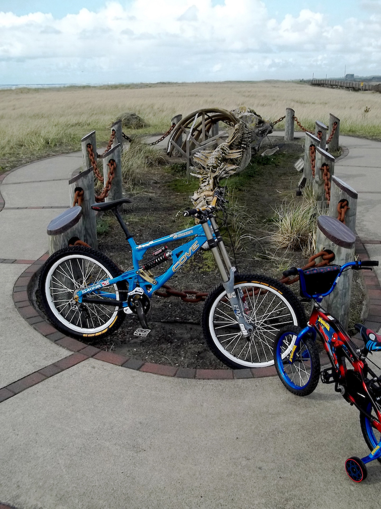 The remains of a grey whale exhumed from the 1800's and put on display. Shocker with high seatpost for easy pedaling. Spiderman bike for 6 year old daughter. Yes, my daughter isn't a pinkbike riding girly.