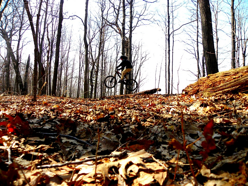 Log jump