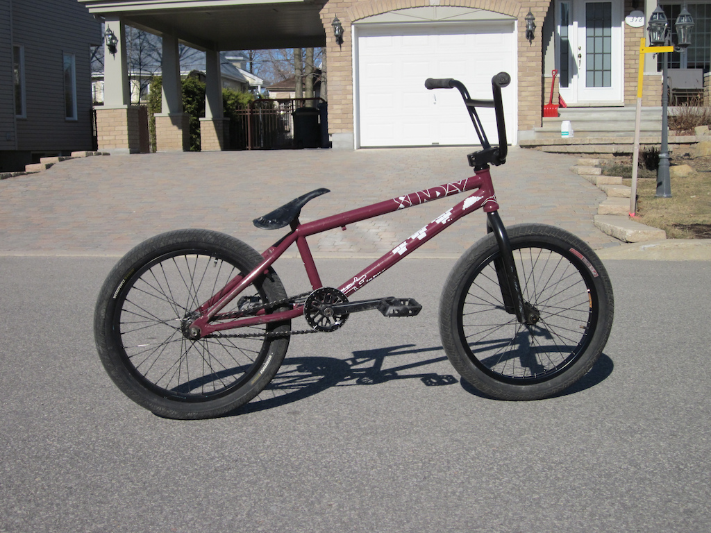 The Whip
