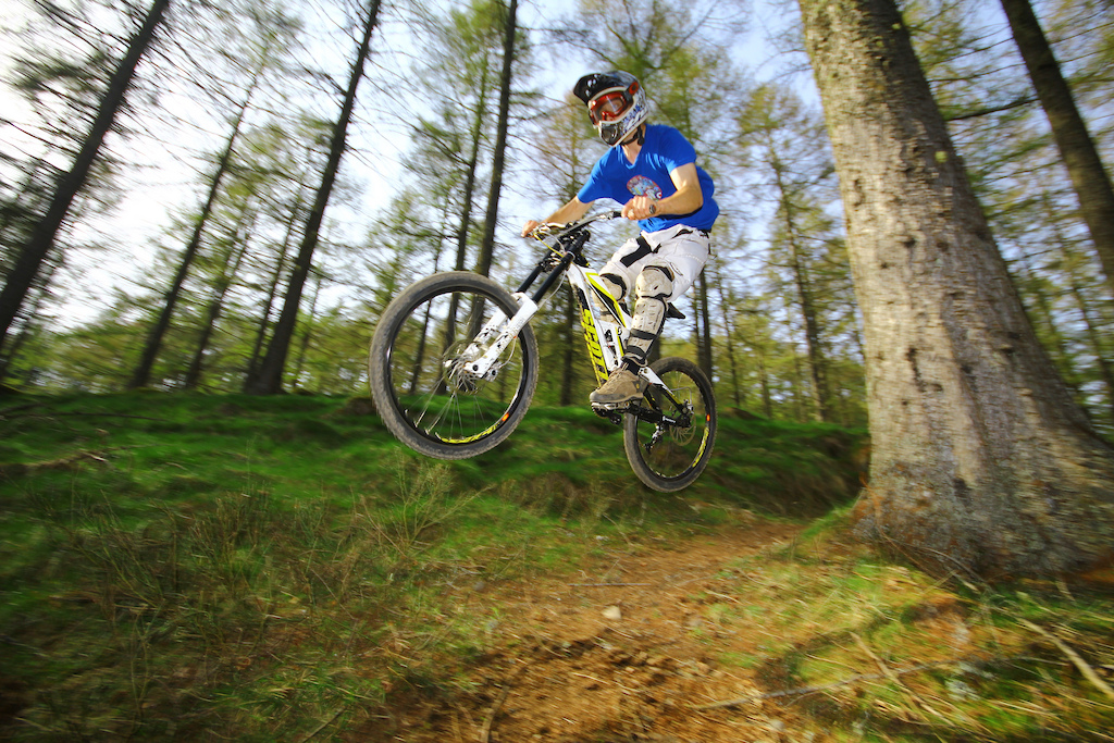 Sunny braw day popping out the berm