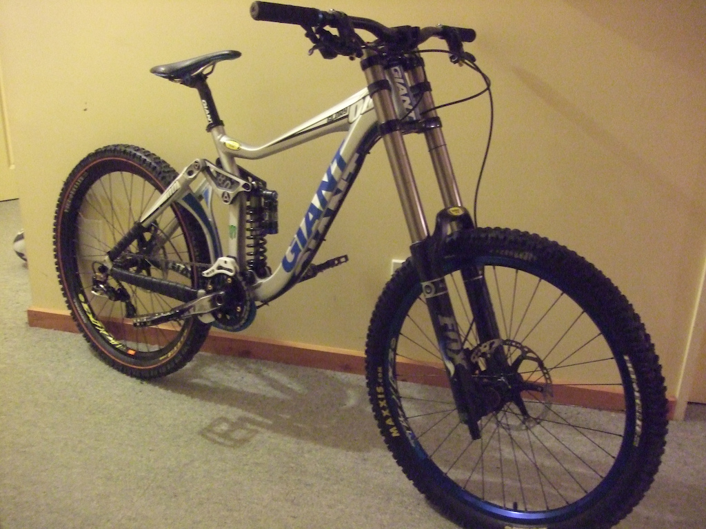 The new Steed