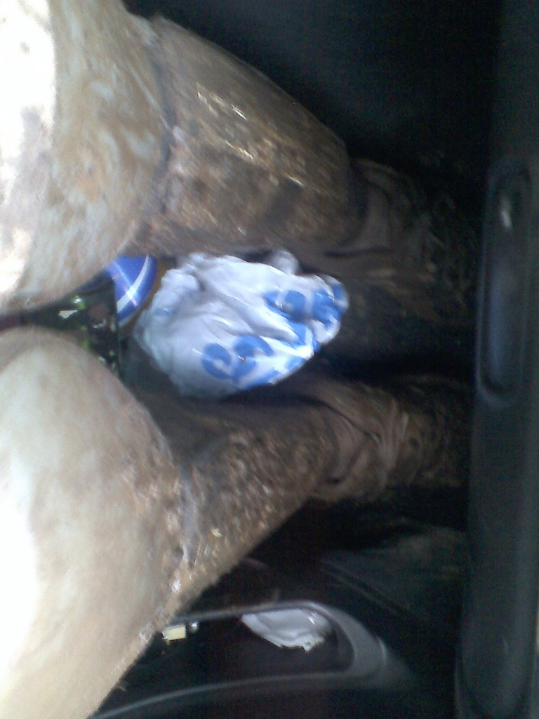 this is why you should never feed THE FUNK taco bell before a trail ride, (jk its just mud)
