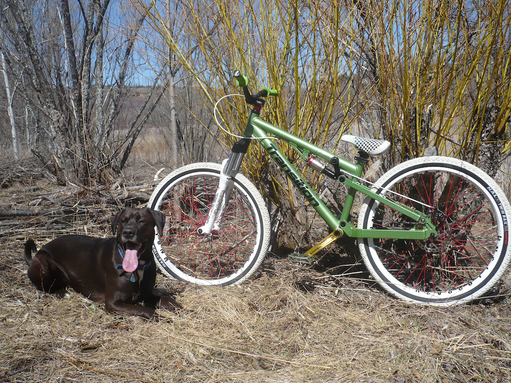 bruno&amp;transition