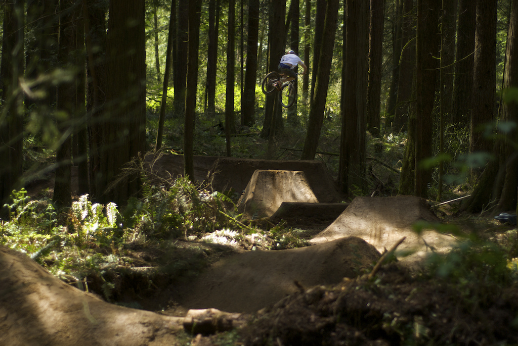 Flowing through the trees