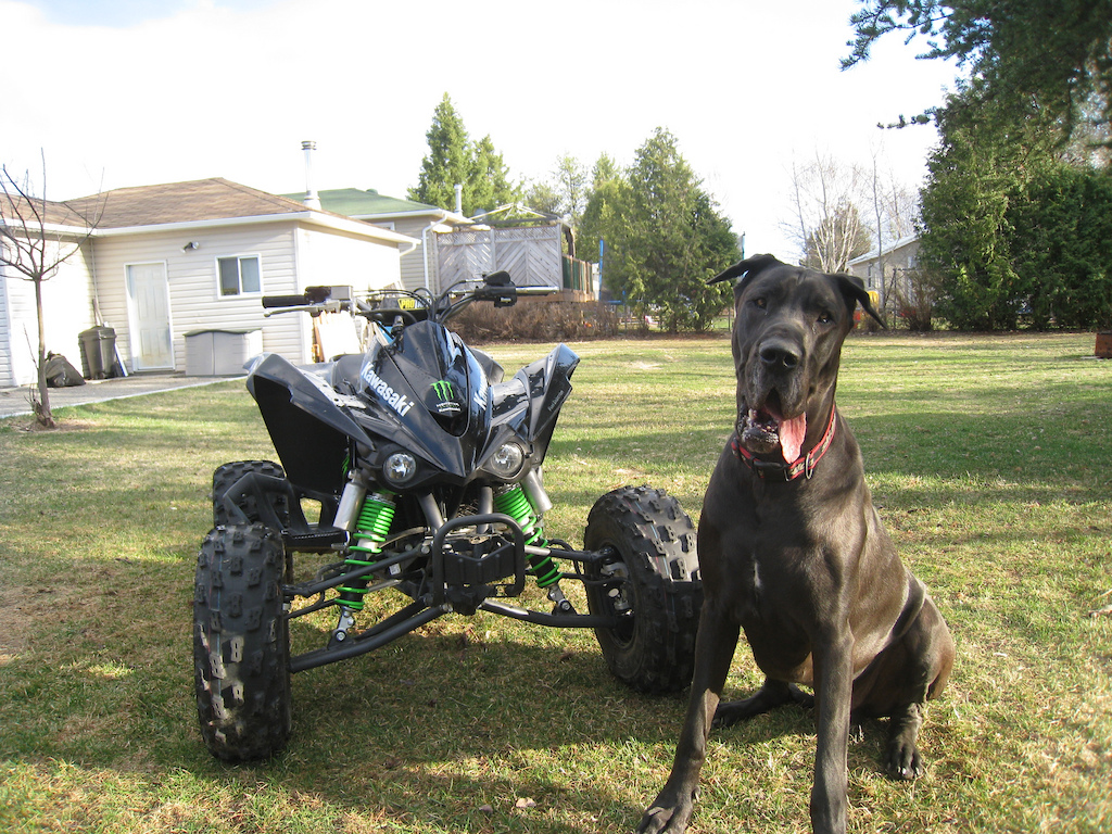 My idiotic dog.. and one of my kids... The kfx 450r! :D