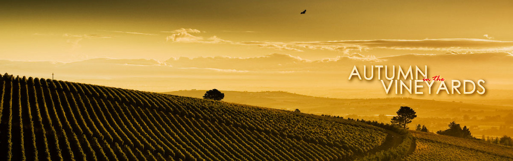 Some shots from our Autumn in the Vineyards Workshop.
http://ericpalmer.webgarden.com/menu/home/autumn-in-the-vineyards