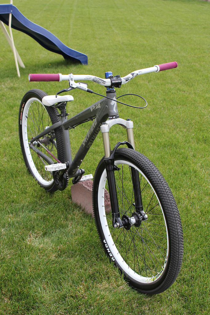 Specialized P2