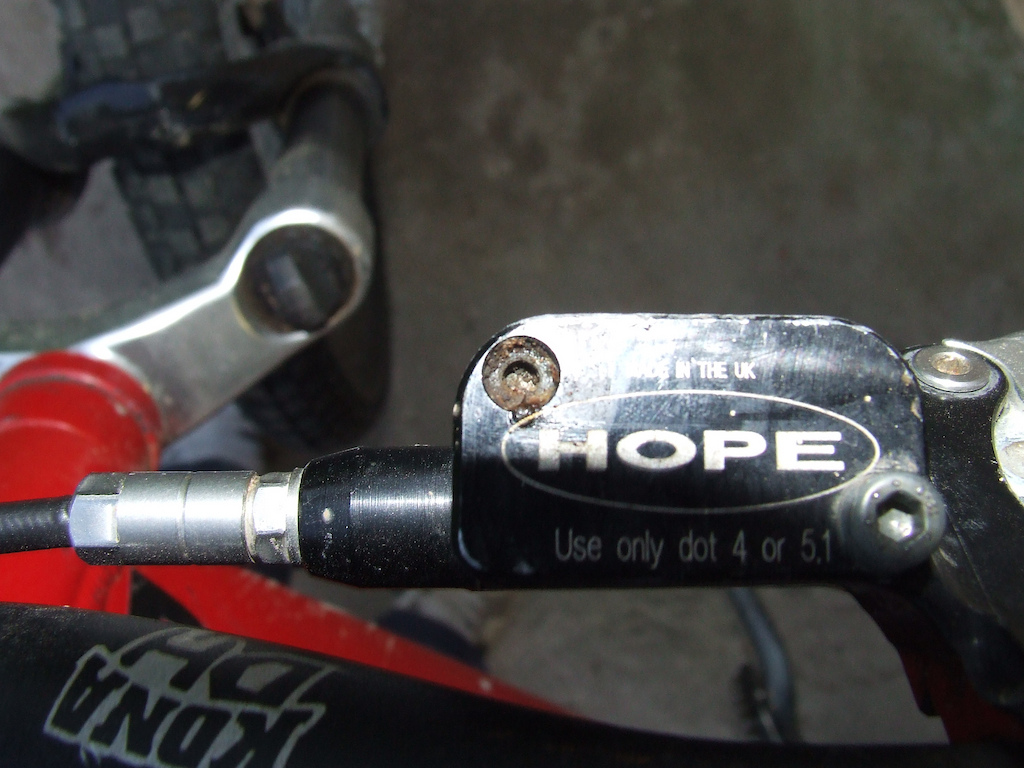 hope minis