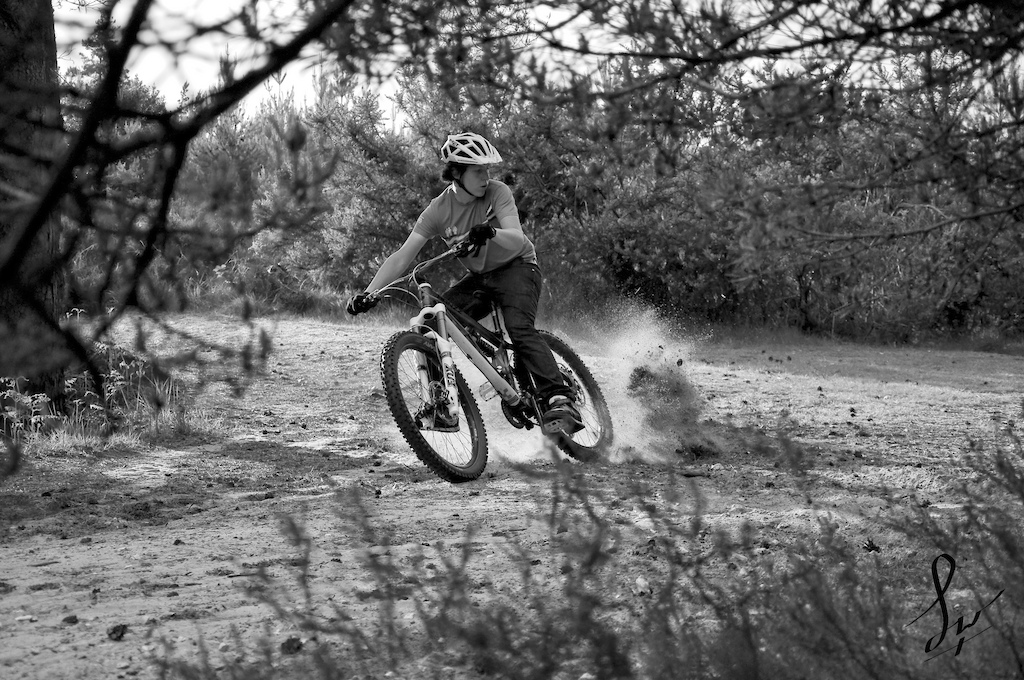 f14 BW