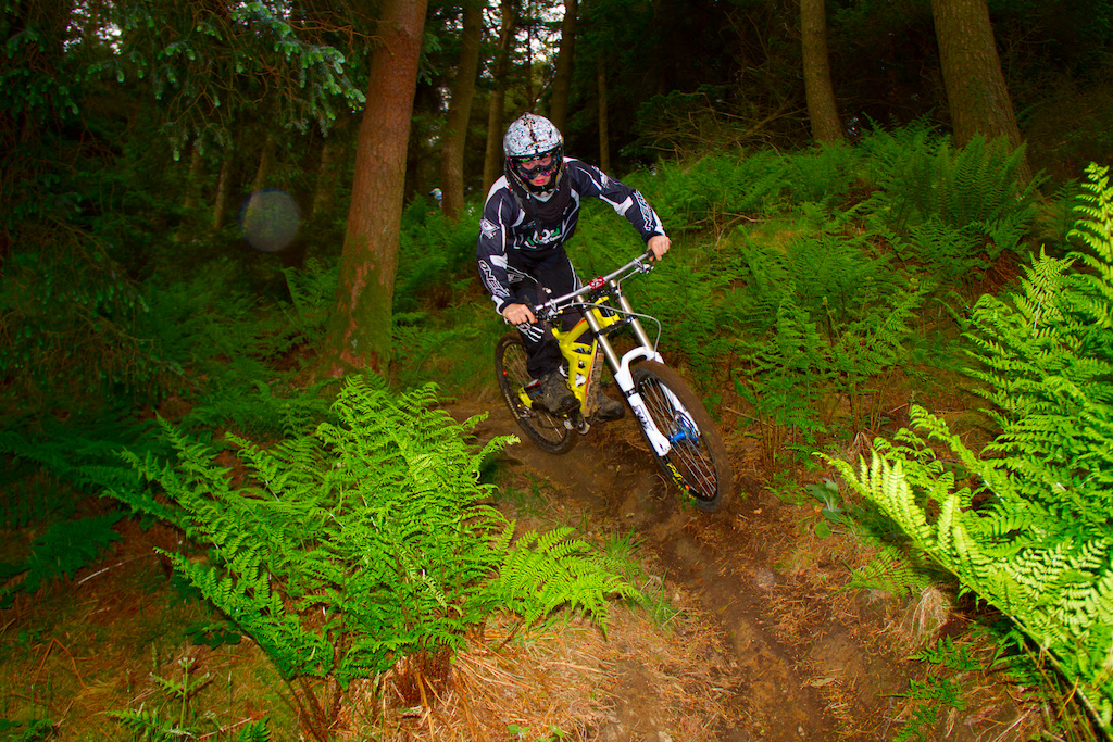 Berm